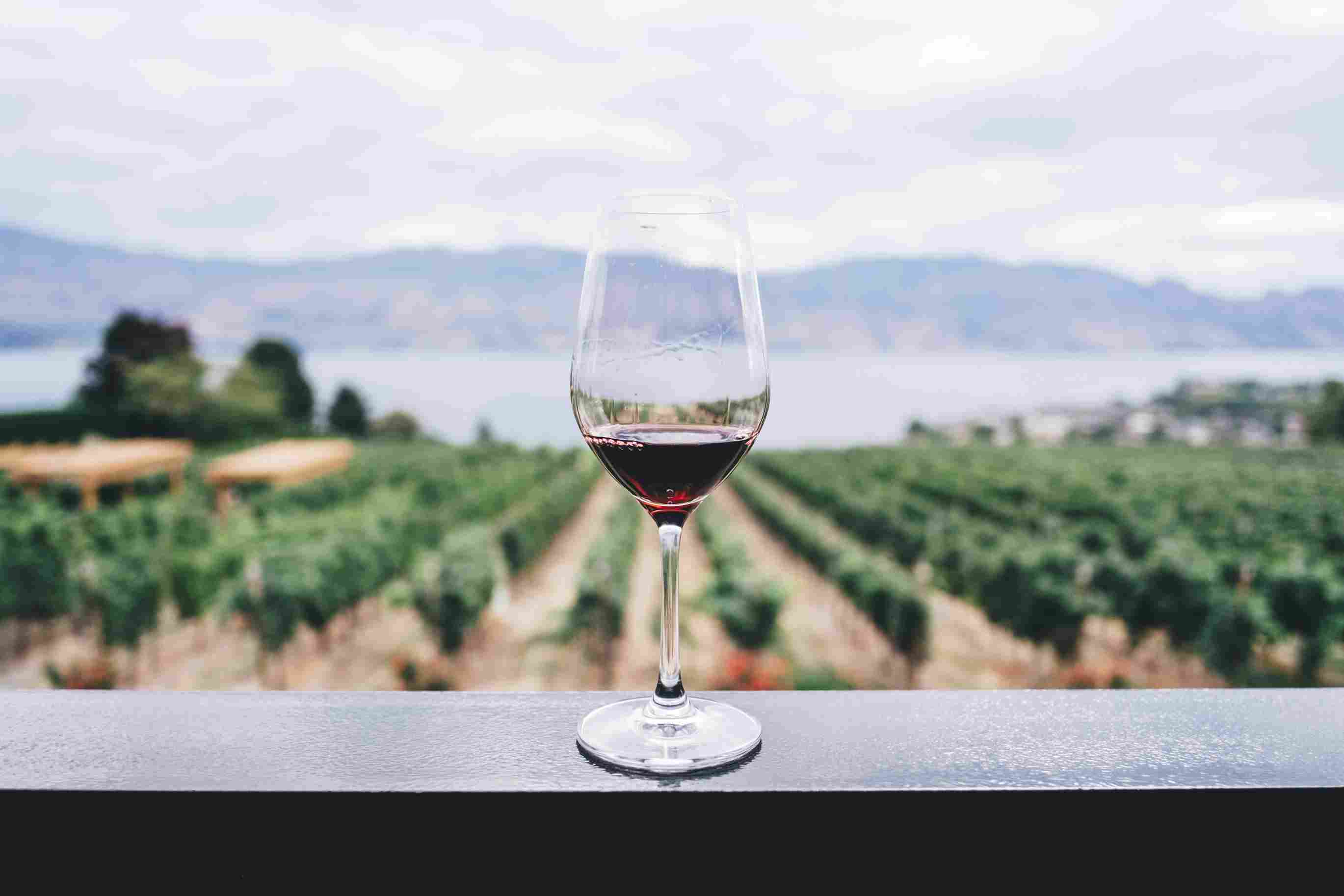 Spanish Wines